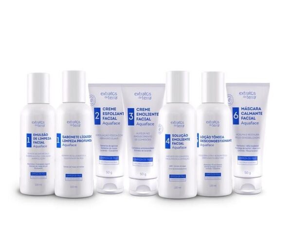 Mini Kit Limpeza de Pele - Extratos da Terra